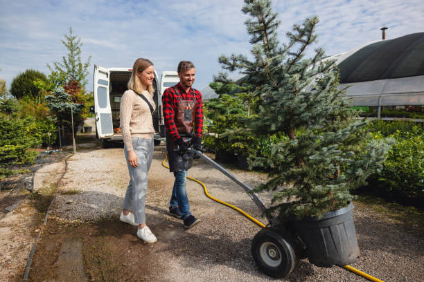 Professional Tree Service in Iron Mountain, MI